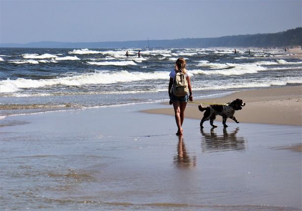 Urlaub mit Hund Strandspaziergang